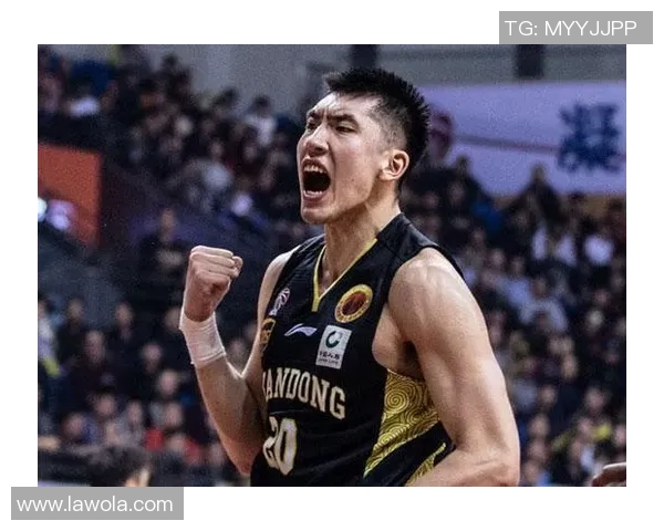 陶汉林的篮球之路：从青涩少年到CBA明星的成长历程与奋斗故事