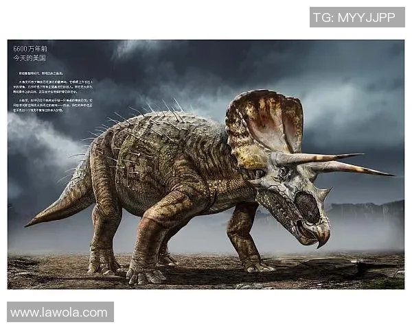 篮球明星恐龙的传奇故事与球场上的精彩瞬间揭秘