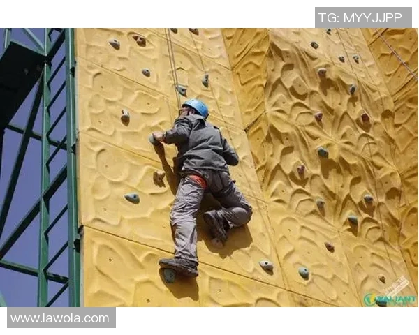 南京攀岩队在全国攀岩团队协作排行榜中荣获第十名的佳绩引发关注