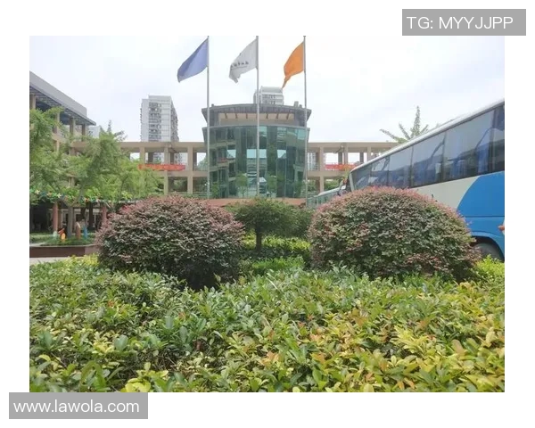 专访赵丽：探讨足球背后的成功秘诀与未来发展方向